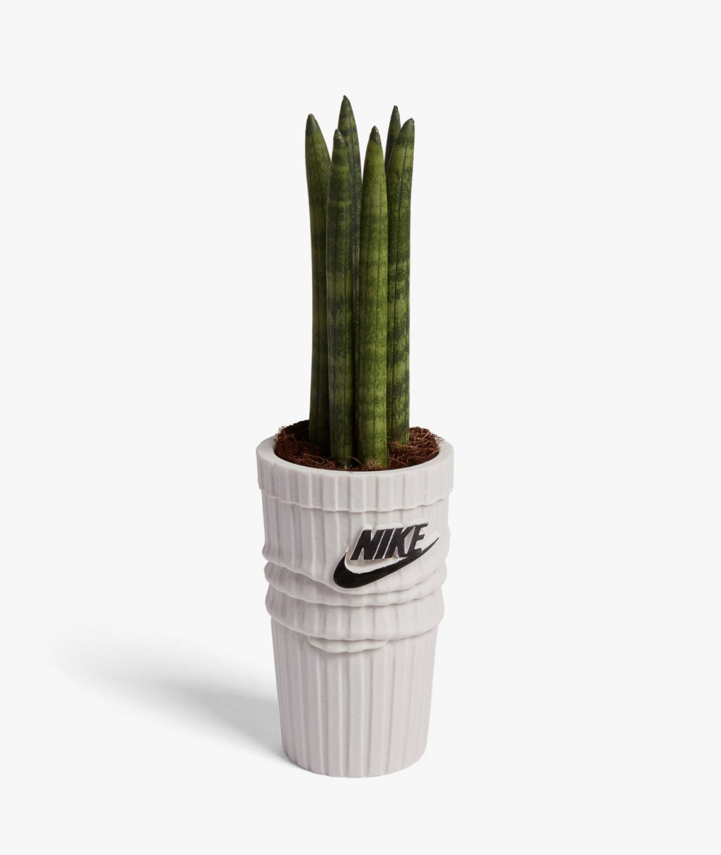 Sock Planter by Nigel Vmu