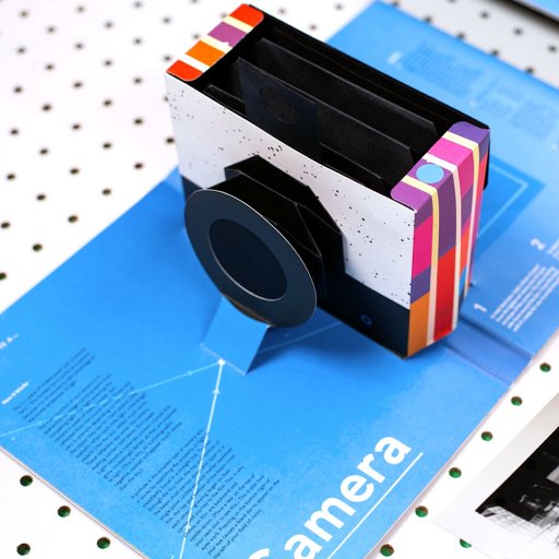 image of This Book Is A Camera by Kelli Anderson